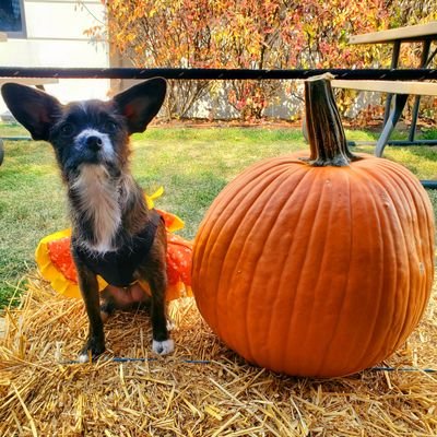 MirelesAutumn's profile picture. 