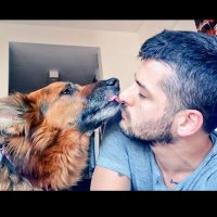 Lucho (@arquerosinmanos) 's Twitter Profile
