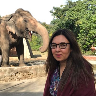 Environment is my passion. Writer. Climate Activist. Chair, Islamabad Wildlife Management Board. Masters (Env & Dev) @SOAS. Chevening Scholar. Wrote 2 OUP books