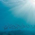 6TH_FACILITY's profile picture. STATUS: OFFLINE