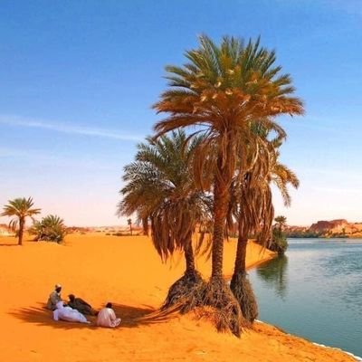 AbdramanDjounga's profile picture. ‏الزغاوة أمة لا تخضع فلا تحاولو 
Respect zakhwa🙏✌🇹🇩🇸🇩✌🙏