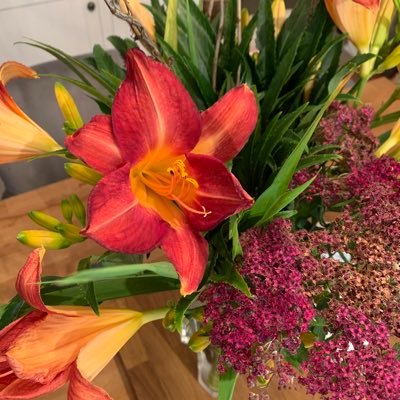 SWPagnell101's profile picture. 