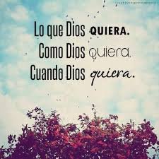 Miel3023's profile picture. ¡Porque los buenos, somos más!