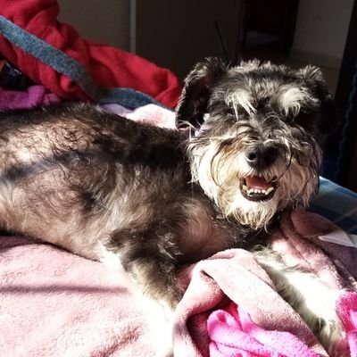 Mere0504's profile picture. Un día prometimos que sería pa’siempre👉👈❤️