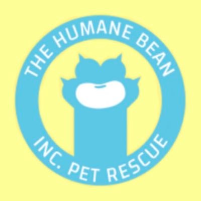 The Humane Bean is a nonprofit pet rescue based in Ohio. We give all types of pets another chance! 💛🐾 @/$TheHumaneBean
