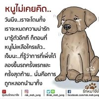 Dog 💥🐕 (@wjrsw92slfoluiw) 's Twitter Profile