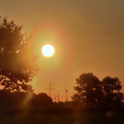 BobNille's profile picture. 