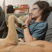 Ariel Taieb (@arieltaieb1) 's Twitter Profile