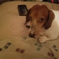 Ronnie Davis (@ronnie_davis_) 's Twitter Profile