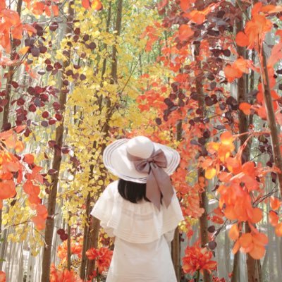 kibanchalee's profile picture. ถ้าคุณปลูกดอกไม้ คุณก็จะอยู่ท่ามกลางดอกไม้