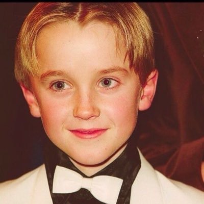 Fan de harry potter y amo a tom felton