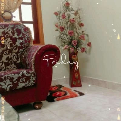 mepan20376884's profile picture. the rain that fell like a pearl