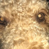 Beck Meister (@beckmeister6) 's Twitter Profile