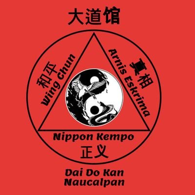 WNaucalpan's profile picture. #wingchun #wingchunlife #kungfu #kungfulife