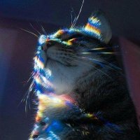 POSIX (@po6ix) 's Twitter Profile Photo POSIX (@po6ix) 's Twitter Profile Photo