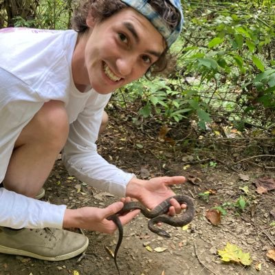 “There is something of the marvelous in nature” 🐍🦋🌻 🐸Vlogz and Frogz🐢