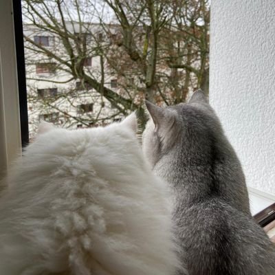 alyamld's profile picture. 