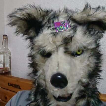 Maxmila01's profile picture. v-max1200に再び乗っています。