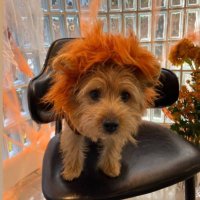 eun (@mrok8314) Twitter profile photo