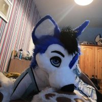 Rico(@rico_husky) 's Twitter Profile Photo