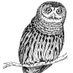The Hoot (@hoot_politics) Twitter profile photo The Hoot (@hoot_politics) Twitter profile photo