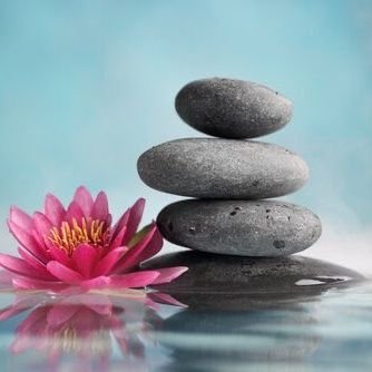 Noelia83451656's profile picture. Feliz