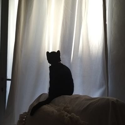 namarianganxa's profile picture. 