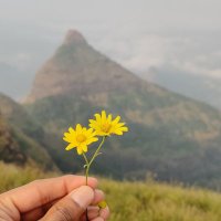 Lonavala Tourism ☁️ (@lonavalatourism) 's Twitter Profile