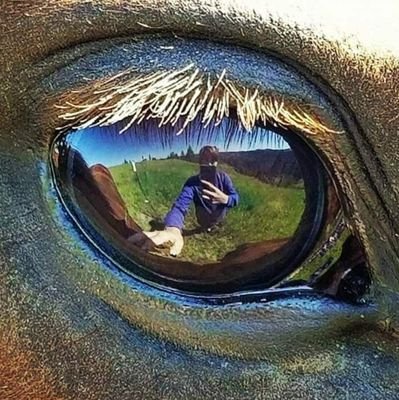 ODaferi's profile picture. 