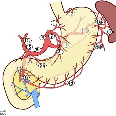 The latest updates in oesophago-gastric surgery research. #uppergi #esophagealcancer #gastriccancer #bariatricsurgery