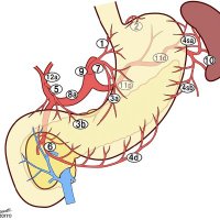OG Surgery (@ogsurgery) 's Twitter Profile