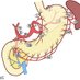 OG Surgery (@ogsurgery) Twitter profile photo OG Surgery (@ogsurgery) Twitter profile photo