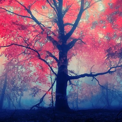 Noh52779069's profile picture. (ฅΦωΦ)ฅ