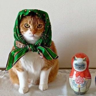 superca22428583's profile picture. 