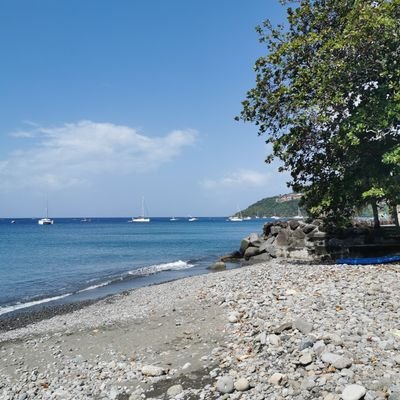 HelicoZboub's profile picture. 