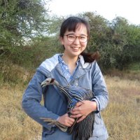 Mina Ogino (@mogino37) 's Twitter Profile