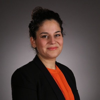 Professor in Management at SFSU, San Francisco | Research on Global Mobility and Cross-Cultural Management | Multicultural & European | @cems_alliance Alumni