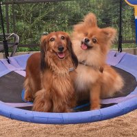Jack & Nana (@jacksmo69907344) 's Twitter Profile