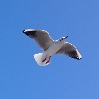 jeunervividcol2's profile picture. 