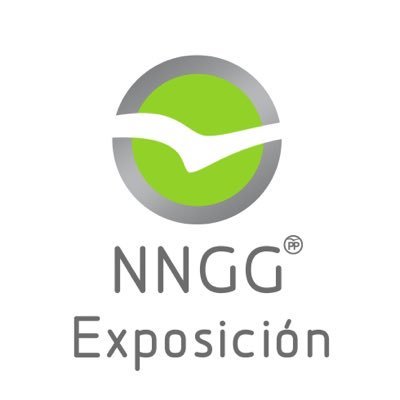 Perfil oficial de Nuevas Generaciones del Distrito Exposición de Valencia ~ Instagram: nngg_expo