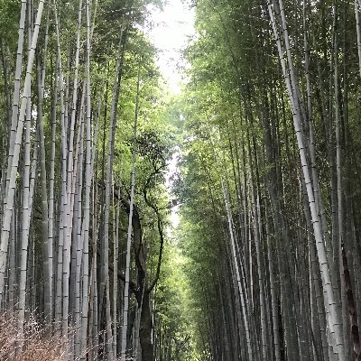 kierenwalters's profile picture. SW1 via the North and Midlands. Views my own and all that.