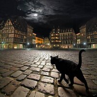 3,141592 (@ghostscat) 's Twitter Profile Photo