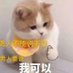 SYUJKใ็ฆ็ณๅธไธ๐ฎ (@kdvsb) Twitter profile photo SYUJKใ็ฆ็ณๅธไธ๐ฎ (@kdvsb) Twitter profile photo