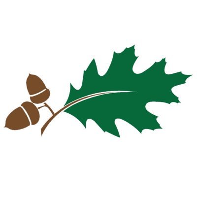 We are a statewide nonprofit educating and advocating for the sustainable use and ecological, economic, and social health of Maine’s forest communities.