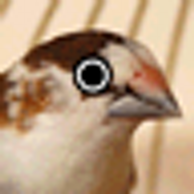 チバカクヤス