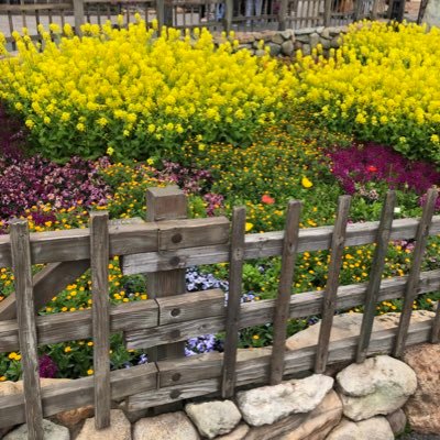 ooggaatta's profile picture. 20↑