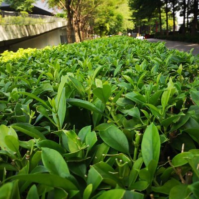 Lee26418651's profile picture. 