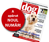 DogMagazin's profile picture. Cea mai citită revistă despre câini din România