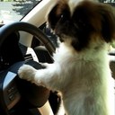 DeniseLow - @DeniseLow - Twitter