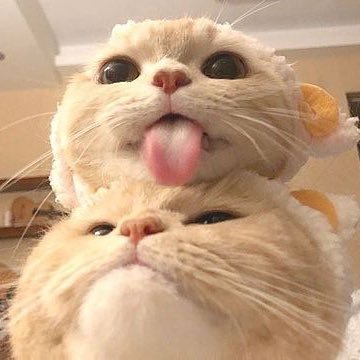 みずきちゃんさんのプロフィール画像